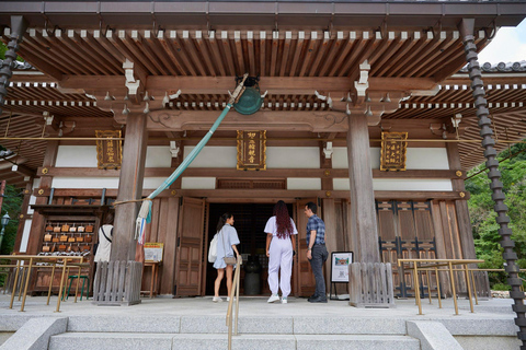 Osaka: Tour particular de esgrima - Treinado por um grande mestre