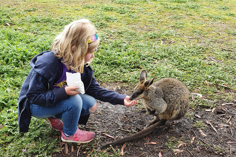 Adelaide: 2-Day Kangaroo Island Tour with Meals & Hotel