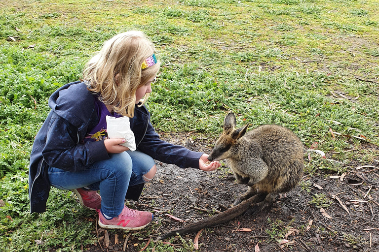 Adelaide: 2-Day Kangaroo Island Tour with Meals & Hotel