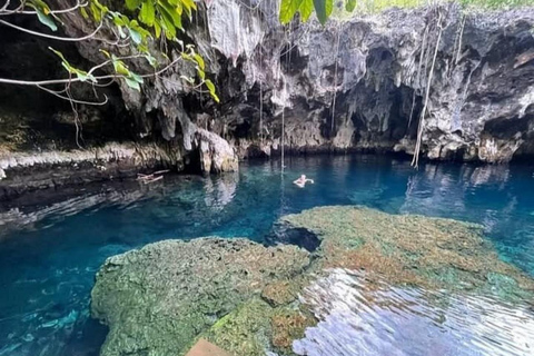 Zanzibar: foresta di Jozani, grotta di Maalum e tour della spiaggia di MtendeTour privato con servizio di prelievo e rientro in hotel incluso