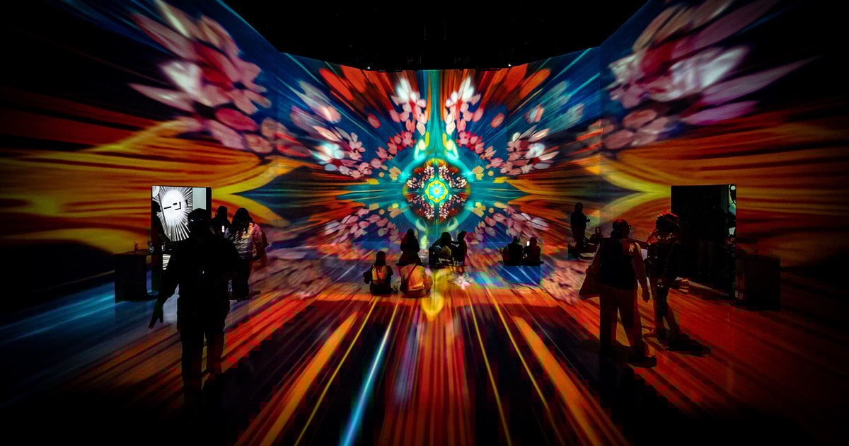 Washington, DC: ARTECHOUSE Immersive Art Experience Ticket | GetYourGuide