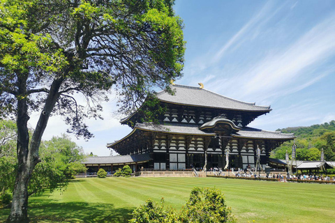 Osaka/Kyoto: Private Nara Day Trip with Guide and Luxury Van