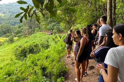 Chiang Mai: Park Narodowy Doi Inthanon i trekking Pha Dok Siew