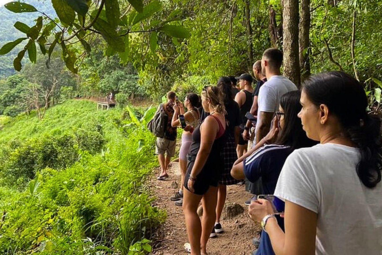 Chiang Mai : Parc national de Doi Inthanon et randonnée Pha Dok Siew