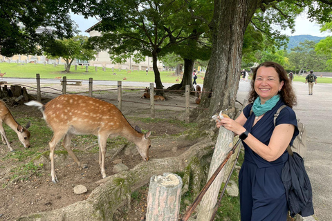 Nara: Halvdag med lokal guide – Big Buddha, hjort, helgedom, skogNara: Halvdag lokal guide- Stora Buddha, hjort, helgedom, skog