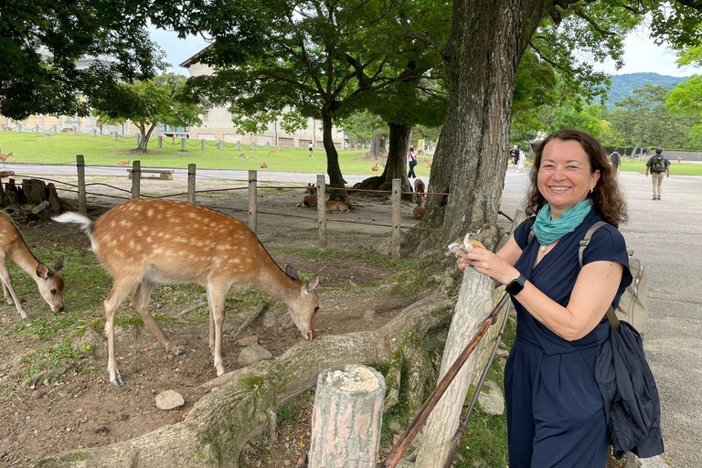 Nara: Halvdag med lokal guide – Big Buddha, hjort, helgedom, skogNara: Halvdag lokal guide- Stora Buddha, hjort, helgedom, skog