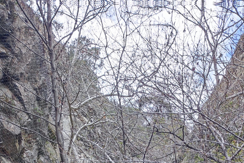 Paphos: Troodos Mountains Villages Tour with Wine Tasting