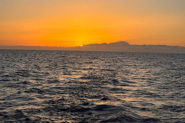 Catamarán privado al atardecer - Gran Canaria1- 15 personas