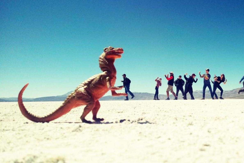 From Arequipa: Excursion to Salinas Lagoon