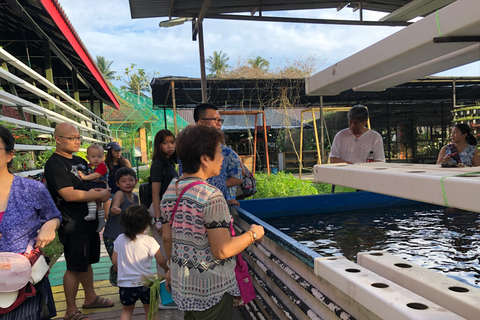 Penang Village Fun: Congkak Game, Local Treat & Petting Zoo