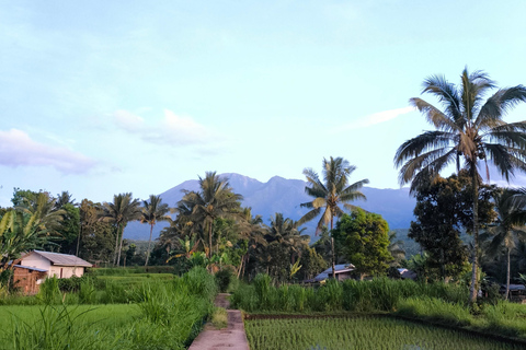 Tetebatu Walking Tour