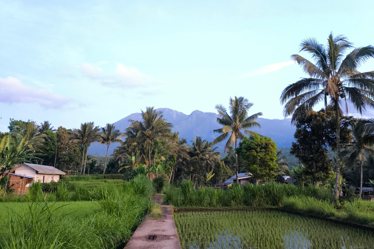 Tetebatu Walking Tour