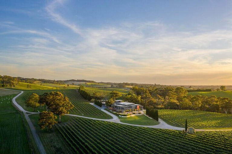 From Phoenix: Vortex to Vineyard Private Tour