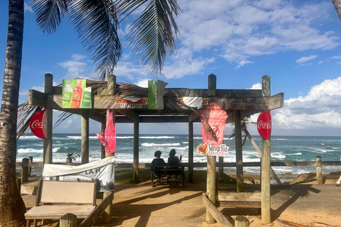 Au départ de San Juan : visite culinaire de la plage de Pinones et des barsAu départ de San Juan : excursion à la plage et aux bars de Pinones