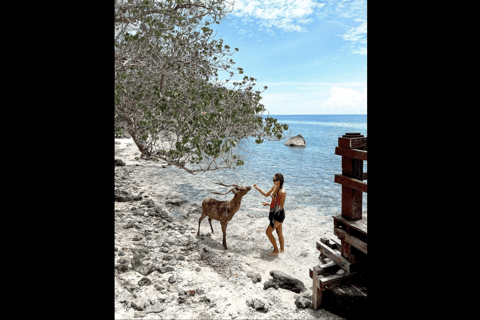 One Day Trip Menjangan Island With Snorkling Experience