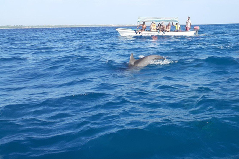 Excursão de meio dia à ilha de Mnemba