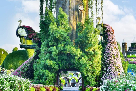 Dubai: Miracle Garden Tickets with Round-trip Transfer
