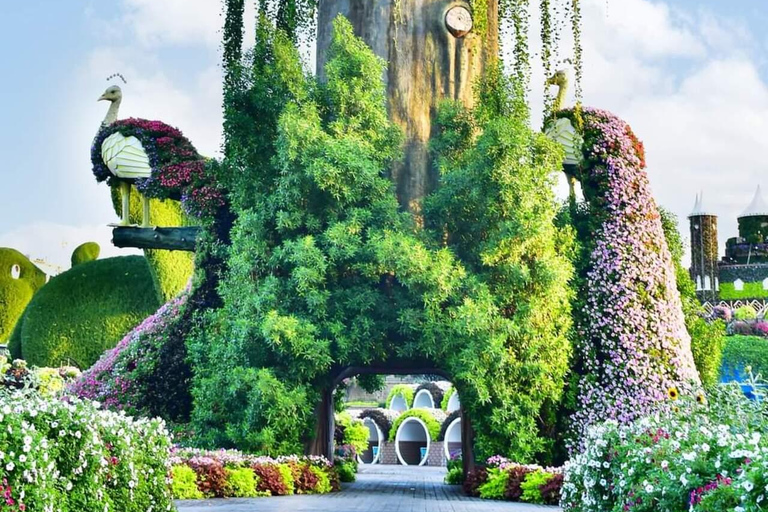 Dubai: Miracle Garden Tickets with Round-trip Transfer