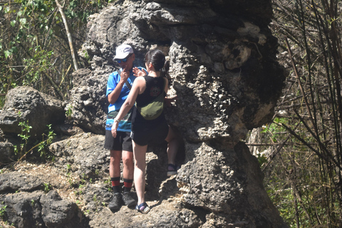 Labuan Bajo: 3-Day Komodo Herping Trip with Snorkeling