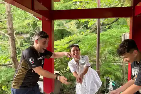 東京車と専門ガイドによるプライベート1日ツアー