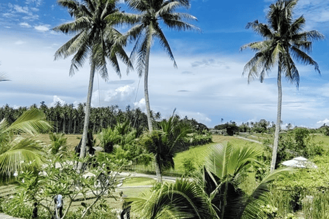 Butterworth: Guided Bike Ride to Kampung Agong