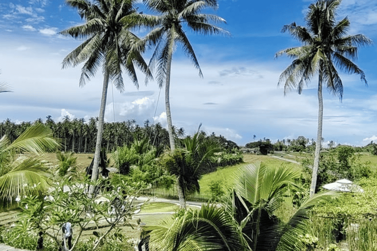 Butterworth: Guided Bike Ride to Kampung Agong