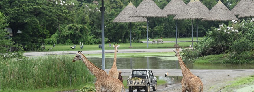 Bangkok Safari & Marine Park