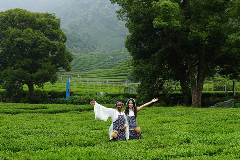 Hangzhou: Meijiawu Tea Picking and Roasting Experience Hangzhou: Meijiawu Tea Picking and Roasting Experience (3h)