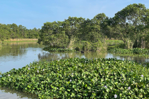 From Galle/Mirissa: Kalametiya Bird Sanctuary Boat Safari Hambantota: Kalametiya Bird Sanctuary Boat Safari-Private
