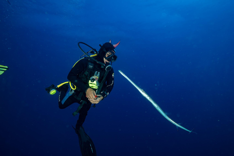 Sharm el-Sheikh: Ras Mohammed & White Island Dive & Snorkel Option 2: Certified Divers - Including Equipment