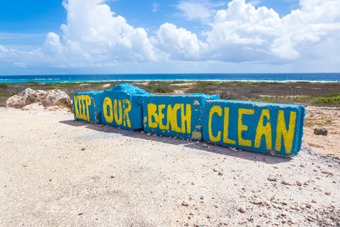 Aruba: Snorkeling Beach Hop Tour with Local Guide and Snacks