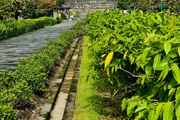 Yogyakarta; Alba/ Salita al Borobudur e Tempio di PrambananAlba a Borobudur, salita in cima e tour del tempio di Prambanan