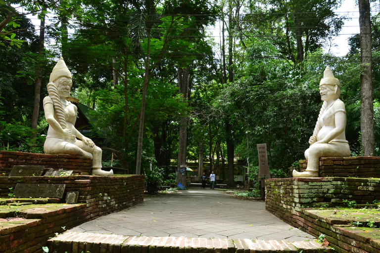 Chiang Mai: 4-godzinna wycieczka do Doi Suthep, Wat Umong i Wat Phalat