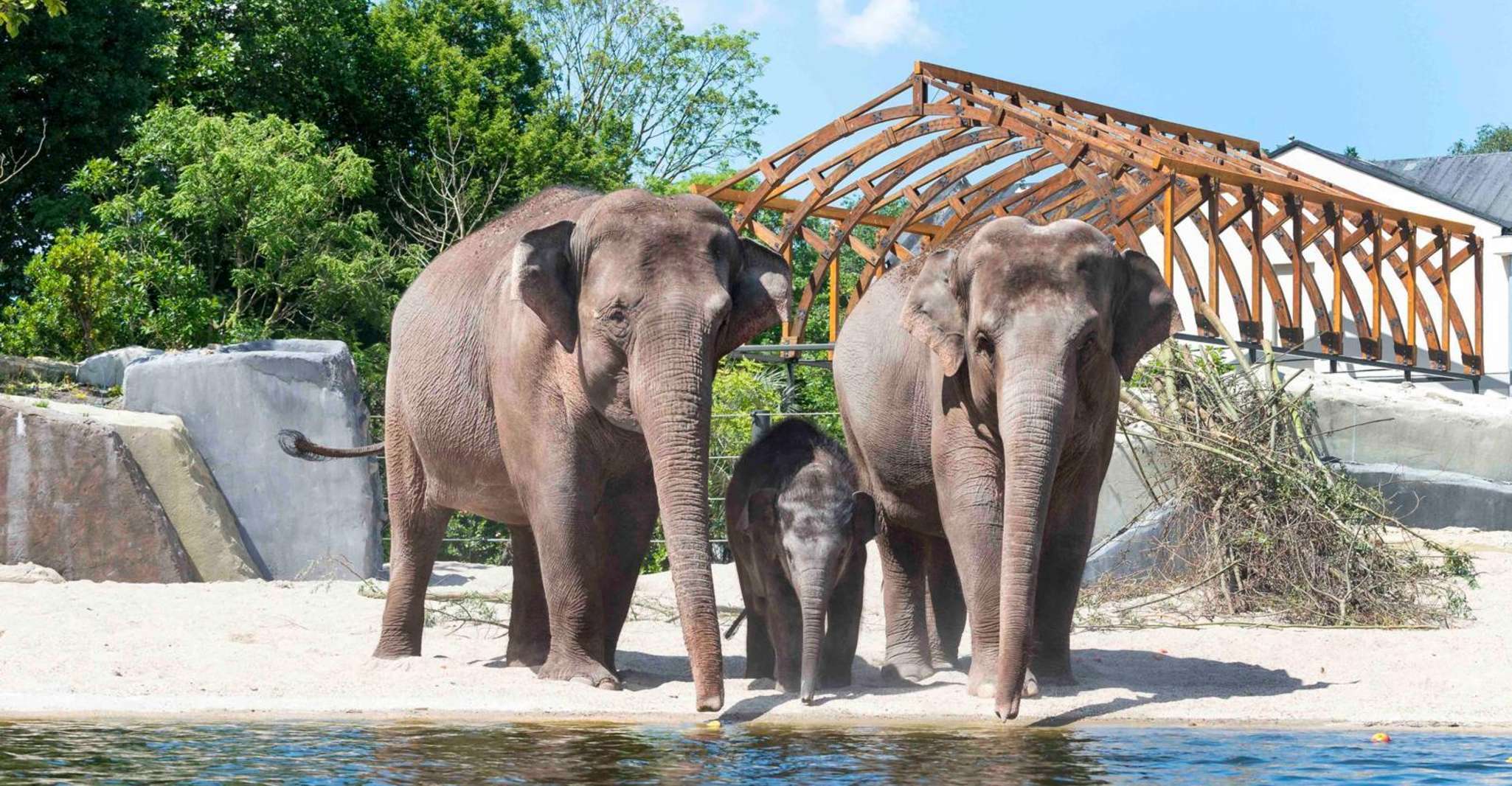 Amsterdam: ARTIS Amsterdam Royal Zoo Entry Ticket photo 8