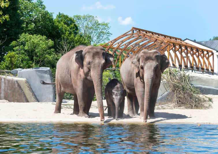 Amesterdão: Bilhete de entrada para o Jardim Zoológico Real de Amesterdão