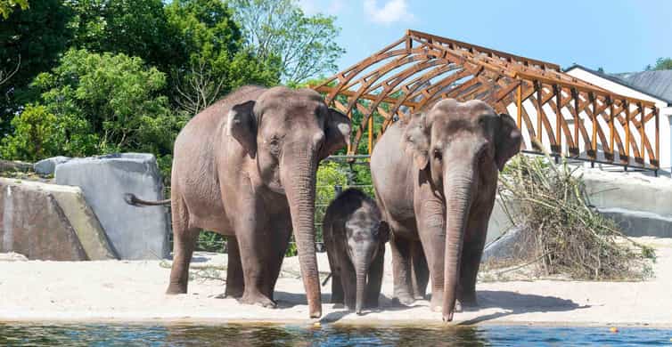 Amsterdam: ARTIS Amsterdam Royal Zoo Entry Ticket photo 8