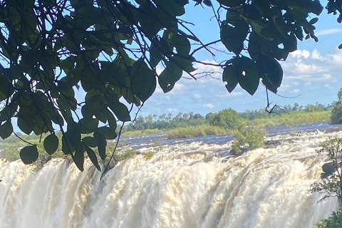 Victoria falls: Zimbabwe and Zambia guided tour old age