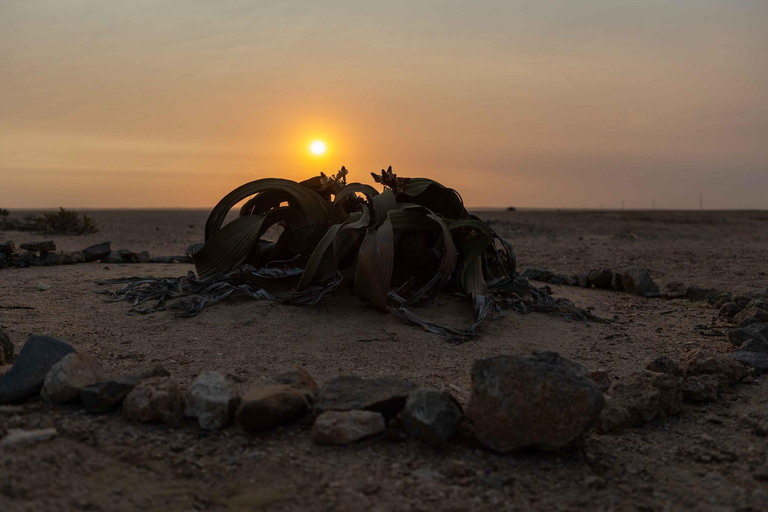 Swakopmund Sunset Magic – Desert Glow, Ocean Dreams