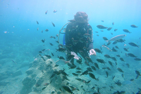 Hersonissos, Stalida: Scuba Diving Experience for beginners