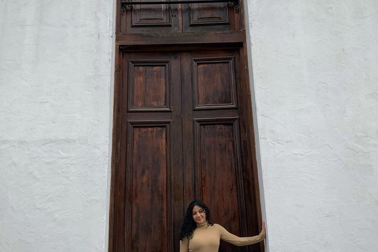 From Santiago: Undurraga Winery Tour & Wine Tasting