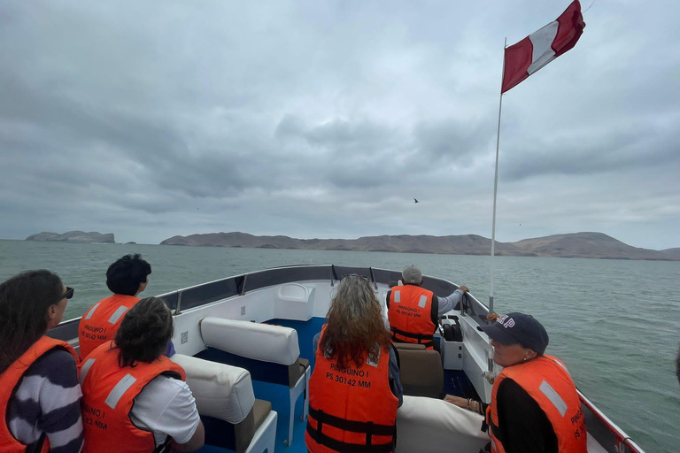 Lima: Palomino Islands Speedboat Tour & Swim with Sea Lions