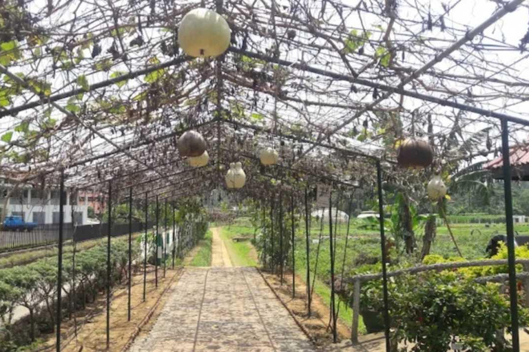 Kandy Top City Sights & Agro Tech Park Visit 4-Hours Tour Kandy Top City Sights visit -01
