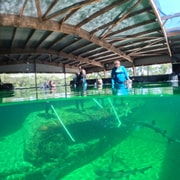Anna Bay: Irukandji Entry Pass with Reef Shark Encounter