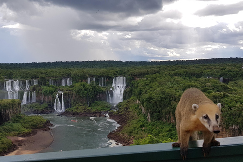 Iguassu Total Experience