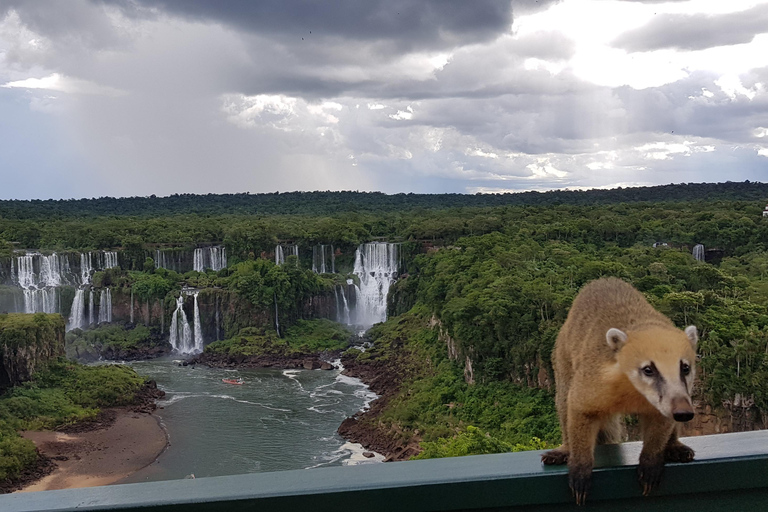 Iguassu Total Experience