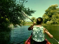 Kayak Adventure, Paddle your way through Lake Skadar - Housity