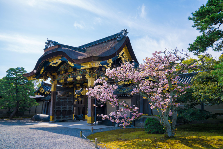 Kyoto/Osaka: Nijo Castle, Arashiyama, Kinkakuji Day Tour Kyoto Full Day Tour | Depart from Kyoto 9:00 AM