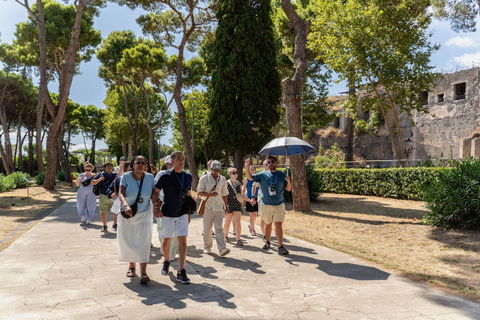 From Naples: Pompeii Shore Excursion for Cruisers with Guide From Pompeii: Guided Tour + Entry Ticket