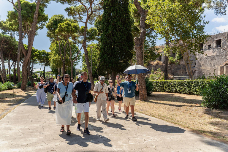 From Naples: Pompeii Shore Excursion for Cruisers with Guide From Pompeii: Guided Tour + Entry Ticket
