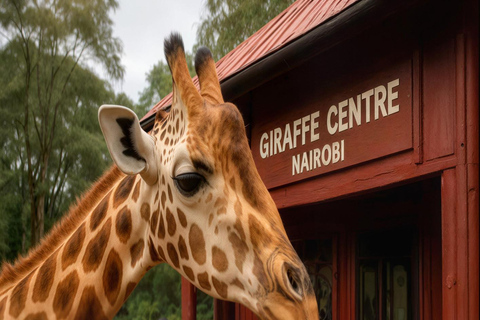 Nairobi : Animal Orphanage , Safari Walk and Giraffe Centre Nairobi: Safari Walk
